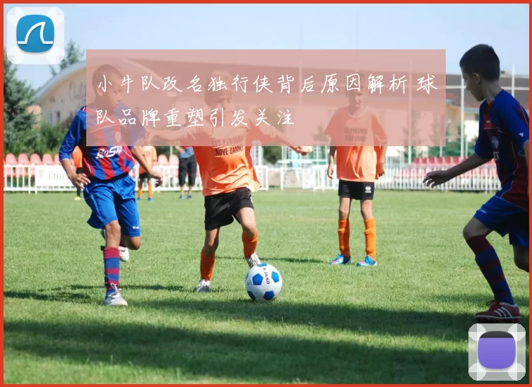 小牛队改名独行侠背后原因解析 球队品牌重塑引发关注