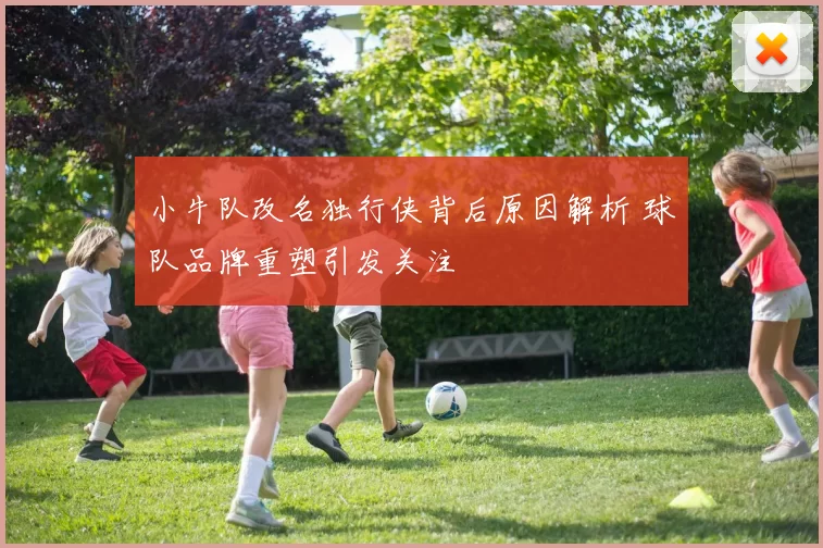 小牛队改名独行侠背后原因解析 球队品牌重塑引发关注