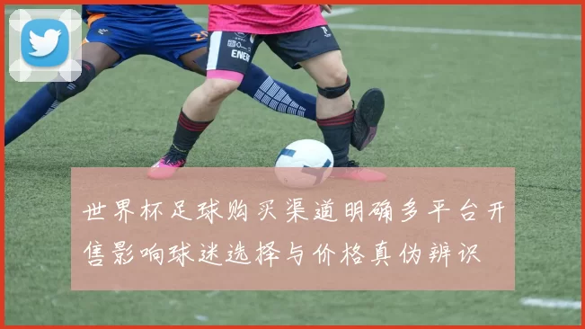 世界杯足球购买渠道明确多平台开售影响球迷选择与价格真伪辨识