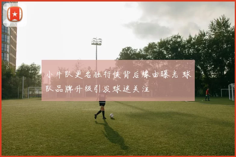 小牛队更名独行侠背后缘由曝光 球队品牌升级引发球迷关注