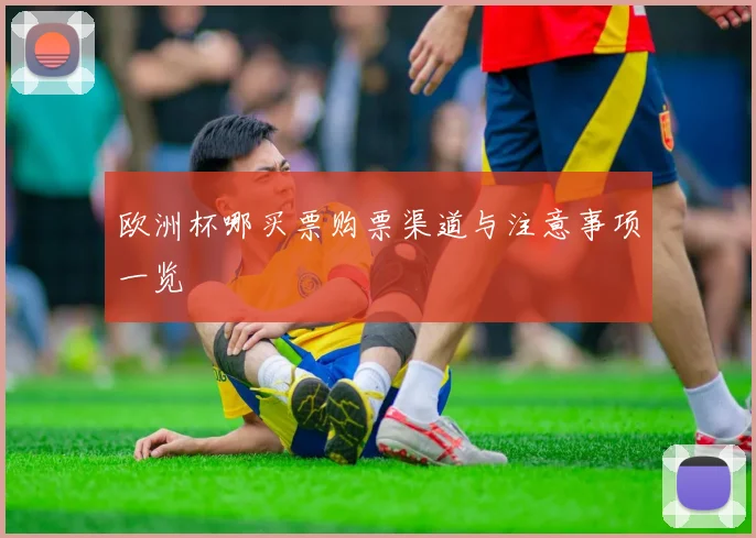 欧洲杯哪买票购票渠道与注意事项一览