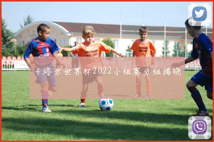 卡塔尔世界杯2022小组赛分组揭晓