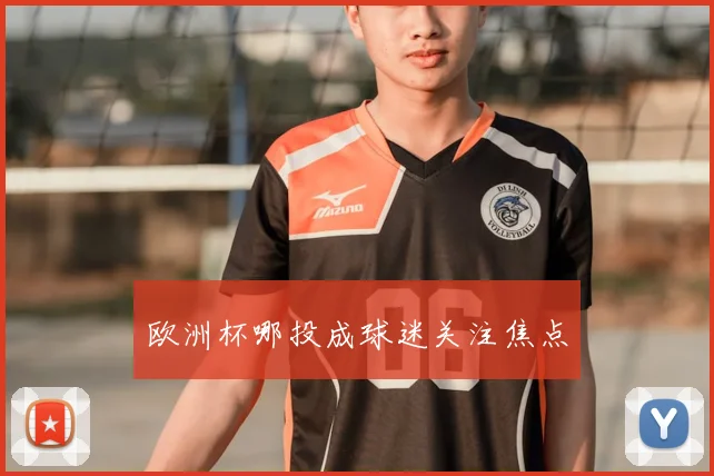 欧洲杯哪投成球迷关注焦点